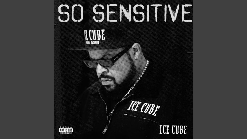 –Ice Cube tiveITuys Dam– So Sensitive Mystery Man Roc-A-Fella